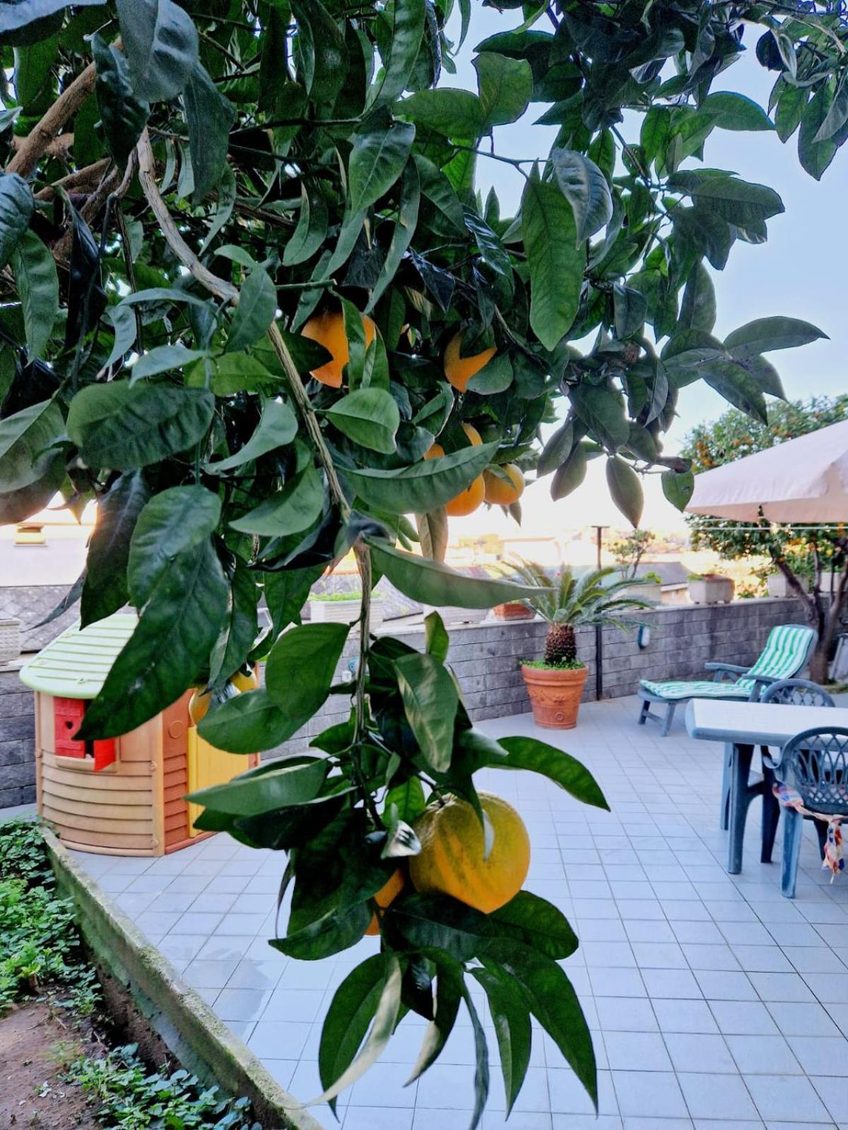 Fuga A Napoli Apartment Esterno foto