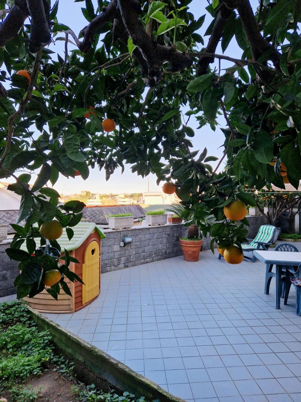 Fuga A Napoli Apartment Esterno foto